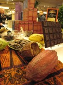a cocoa pod at the Guittard table.  (the chocolate samples behind the pod are 91%, and were surprisingly smooth.)