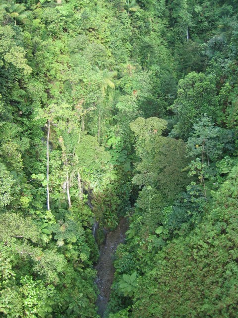 view down into Breakfast Gorge from the bridge 
