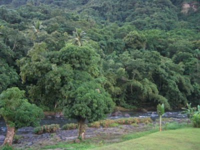 view of the Layou River