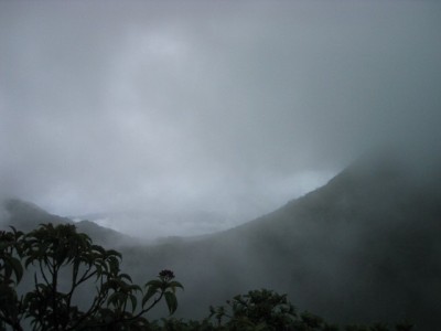 rainy views from about halfway up Morne Diablotin