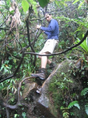 Ron scaling branches down the mountain