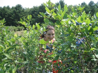 stalked in the blueberry patch