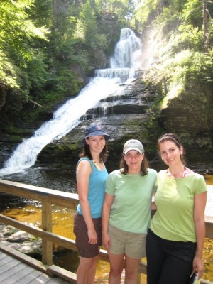 Dingman's Falls National Park