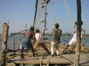 helping out with the Chinese fishing nets