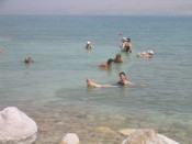 floating in the slimy waters of the dead sea