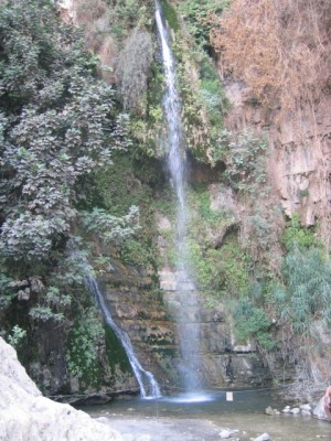 Nachal David