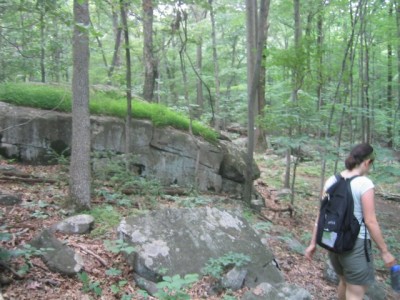 hiking through the Sourlands Mountain Preserve