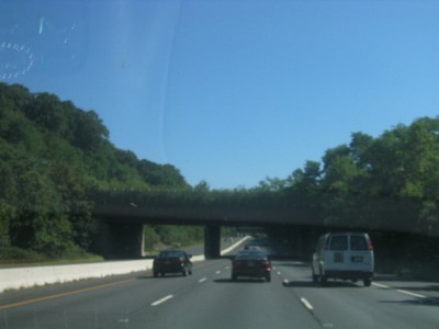 I-78 deer overpass