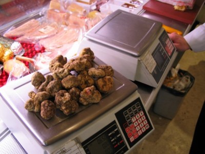 white truffles; this batch is worth about $3500.