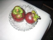 our mangosteen tasting