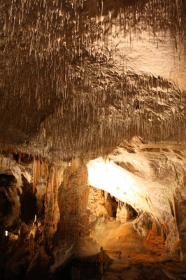 Postojna cave