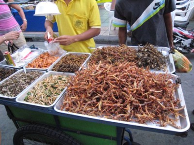 insect snacks