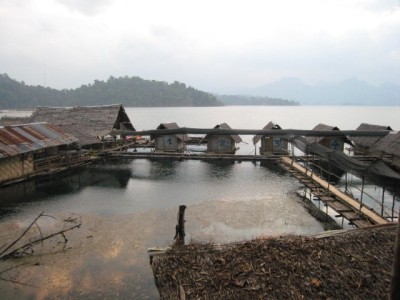view of the floating bungalows